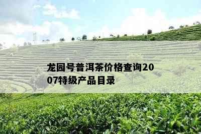 龙园号普洱茶价格查询2007特级产品目录