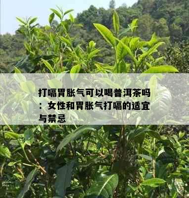 打嗝胃胀气可以喝普洱茶吗：女性和胃胀气打嗝的适宜与禁忌