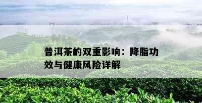 普洱茶的双重影响：降脂功效与健康风险详解