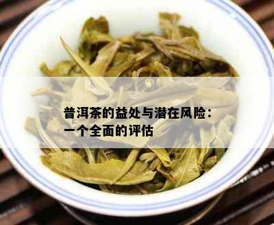 普洱茶的益处与潜在风险：一个全面的评估