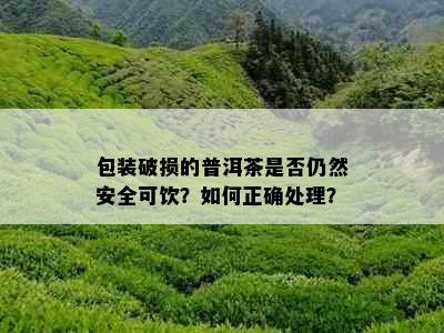 包装破损的普洱茶是否仍然安全可饮？如何正确处理？