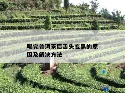 喝完普洱茶后舌头变黑的原因及解决方法