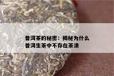 普洱茶的秘密：揭秘为什么普洱生茶中不存在茶渍