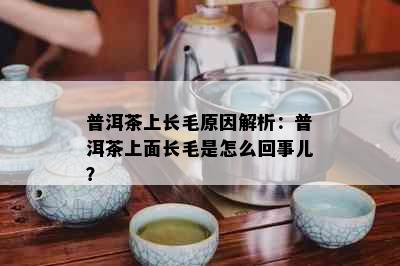 普洱茶上长毛原因解析：普洱茶上面长毛是怎么回事儿？