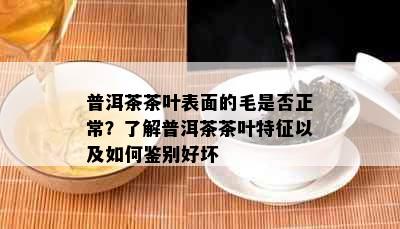 普洱茶茶叶表面的毛是否正常？了解普洱茶茶叶特征以及如何鉴别好坏