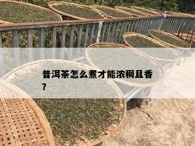 普洱茶怎么煮才能浓稠且香？