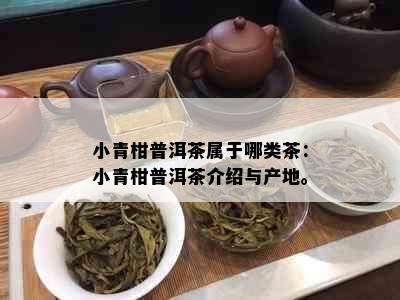 小青柑普洱茶属于哪类茶：小青柑普洱茶介绍与产地。