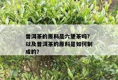 普洱茶的原料是六堡茶吗？以及普洱茶的原料是如何制成的？