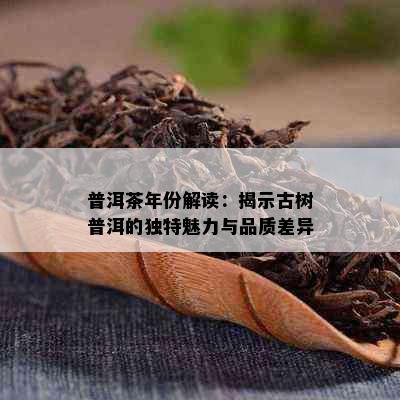 普洱茶年份解读：揭示古树普洱的独特魅力与品质差异