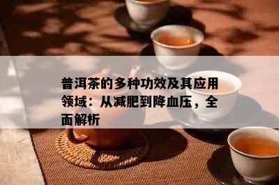 普洱茶的多种功效及其应用领域：从减肥到降血压，全面解析