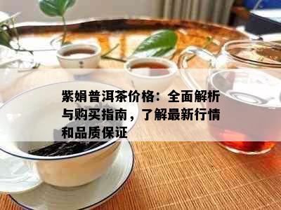 紫娟普洱茶价格：全面解析与购买指南，了解最新行情和品质保证