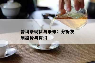 普洱茶现状与未来：分析发展趋势与探讨