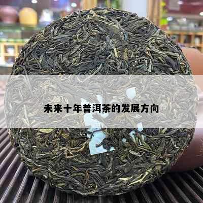 未来十年普洱茶的发展方向