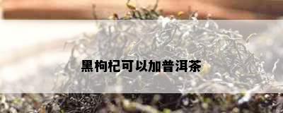 黑枸杞可以加普洱茶