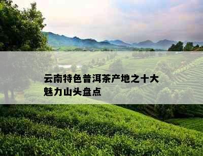 云南特色普洱茶产地之十大魅力山头盘点