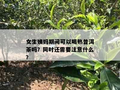 女生姨妈期间可以喝熟普洱茶吗？同时还需要注意什么？