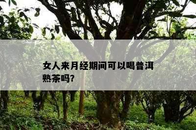 女人来月经期间可以喝普洱熟茶吗？