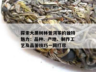 探索大黑树林普洱茶的独特魅力：品种、产地、制作工艺及品鉴技巧一网打尽