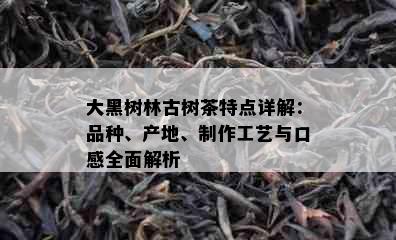 大黑树林古树茶特点详解：品种、产地、制作工艺与口感全面解析