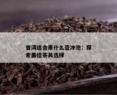 普洱适合用什么壶冲泡：探索更佳茶具选择