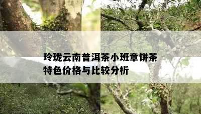 玲珑云南普洱茶小班章饼茶特色价格与比较分析