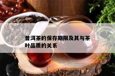 普洱茶的保存期限及其与茶叶品质的关系