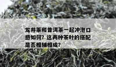 龙井茶和普洱茶一起冲泡口感如何？这两种茶叶的搭配是否相辅相成？