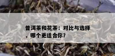 普洱茶和花茶：对比与选择，哪个更适合你？