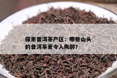 探索普洱茶产区：哪些山头的普洱茶更令人陶醉？