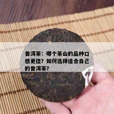 普洱茶：哪个茶山的品种口感更佳？如何选择适合自己的普洱茶？