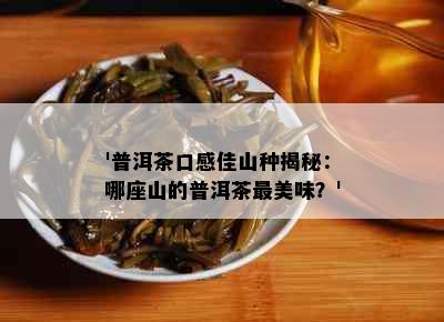 '普洱茶口感佳山种揭秘：哪座山的普洱茶最美味？'