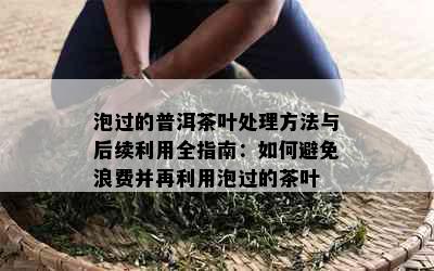 泡过的普洱茶叶处理方法与后续利用全指南：如何避免浪费并再利用泡过的茶叶