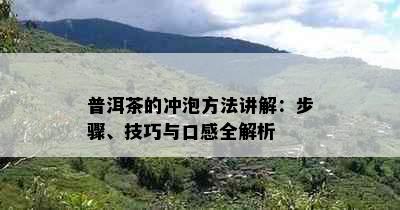 普洱茶的冲泡方法讲解：步骤、技巧与口感全解析