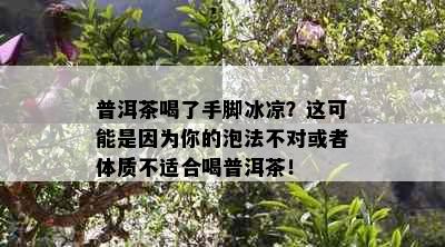 普洱茶喝了手脚冰凉？这可能是因为你的泡法不对或者体质不适合喝普洱茶！