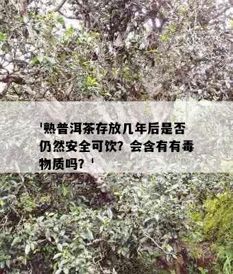 '熟普洱茶存放几年后是否仍然安全可饮？会含有有物质吗？'