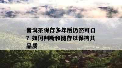 普洱茶保存多年后仍然可口？如何判断和储存以保持其品质