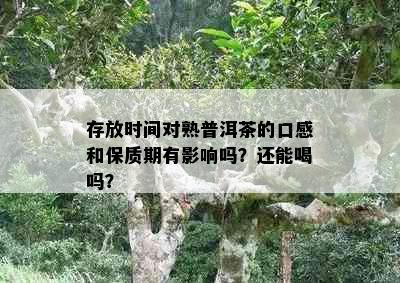 存放时间对熟普洱茶的口感和保质期有影响吗？还能喝吗？