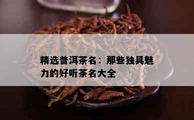 精选普洱茶名：那些独具魅力的好听茶名大全