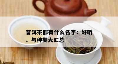 普洱茶都有什么名字：好听、与种类大汇总