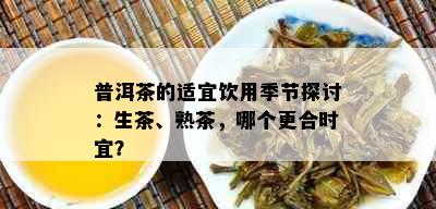 普洱茶的适宜饮用季节探讨：生茶、熟茶，哪个更合时宜？