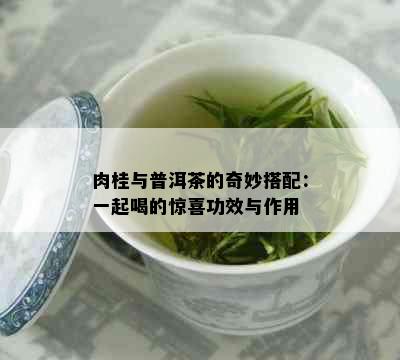 肉桂与普洱茶的奇妙搭配：一起喝的惊喜功效与作用