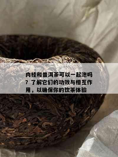 肉桂和普洱茶可以一起泡吗？了解它们的功效与相互作用，以确保你的饮茶体验