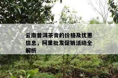 云南普洱茶膏的价格及优惠信息，阿里批发促销活动全解析