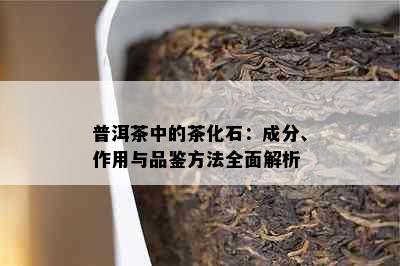 普洱茶中的茶化石：成分、作用与品鉴方法全面解析