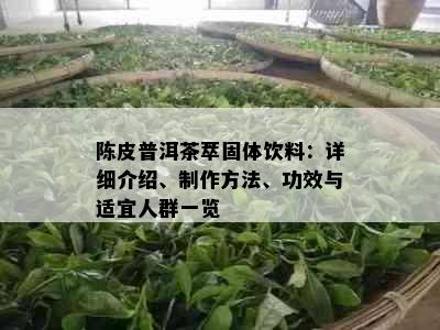 陈皮普洱茶萃固体饮料：详细介绍、制作方法、功效与适宜人群一览