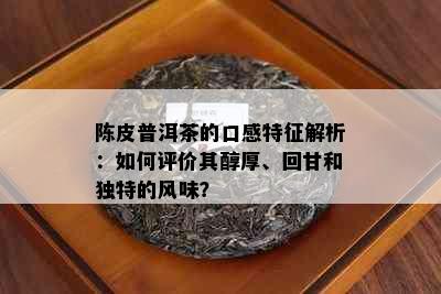 陈皮普洱茶的口感特征解析：如何评价其醇厚、回甘和独特的风味？