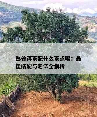 熟普洱茶配什么茶点喝：更佳搭配与泡法全解析