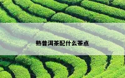 熟普洱茶配什么茶点