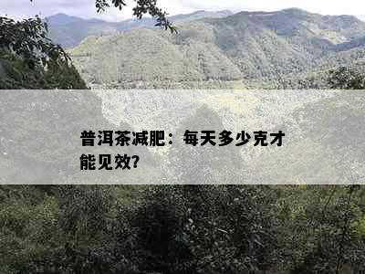 普洱茶减肥：每天多少克才能见效？