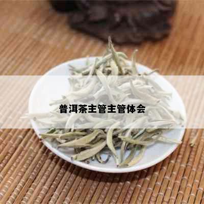 普洱茶主管主管体会